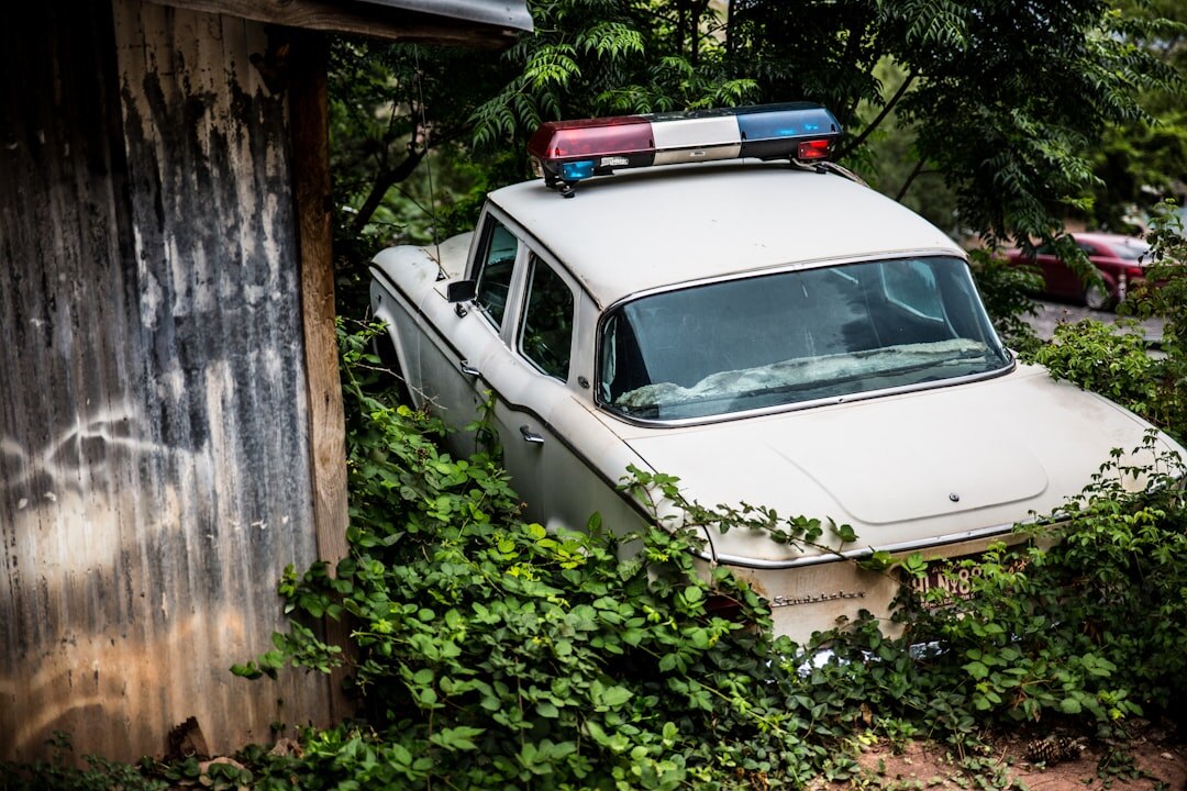 historical crime scene investigation